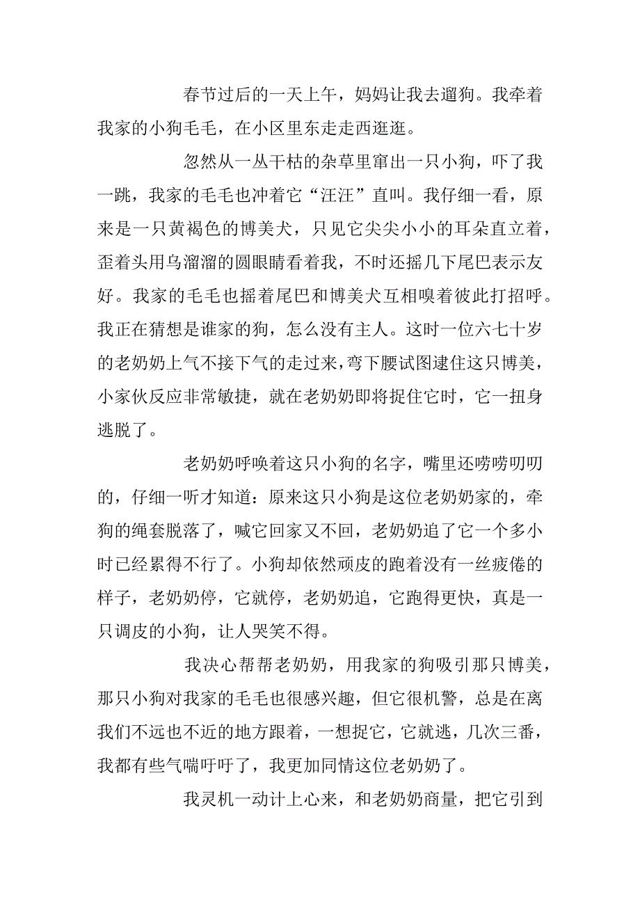 2023年狗 作文精选5篇 700字_第3页