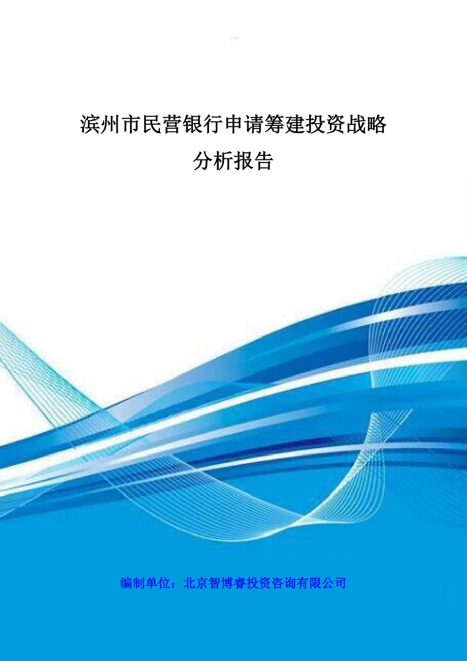 滨州市民营银行申请筹建投资战略分析报告_第1页