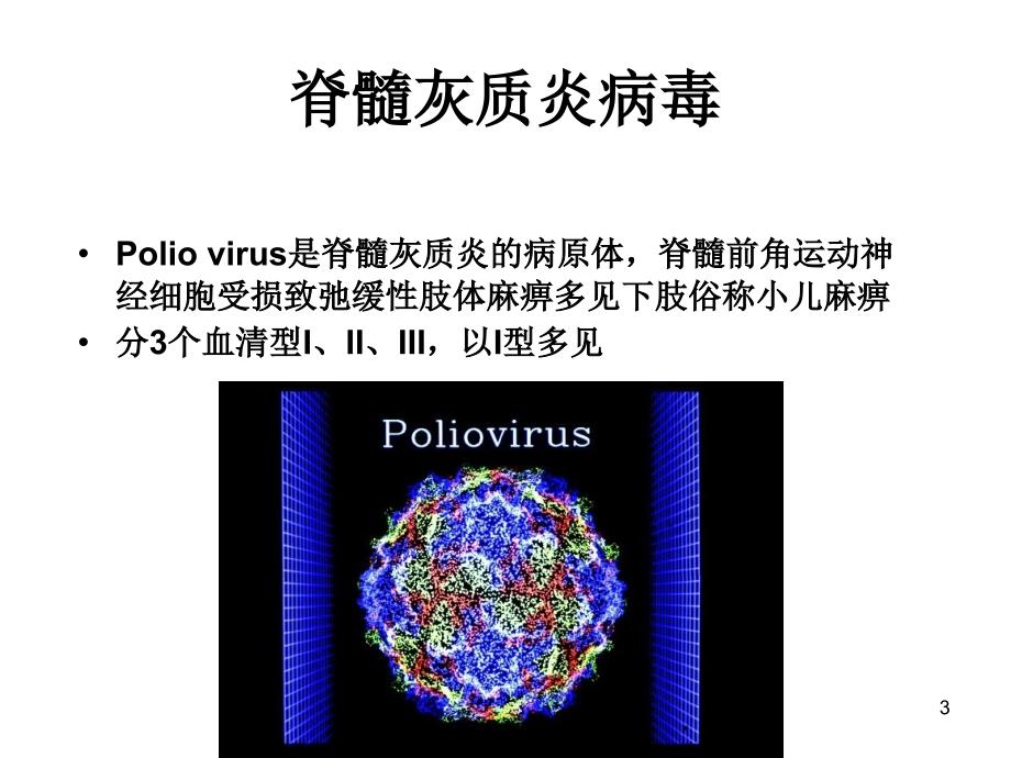 无包膜RN毒ppt课件_第3页