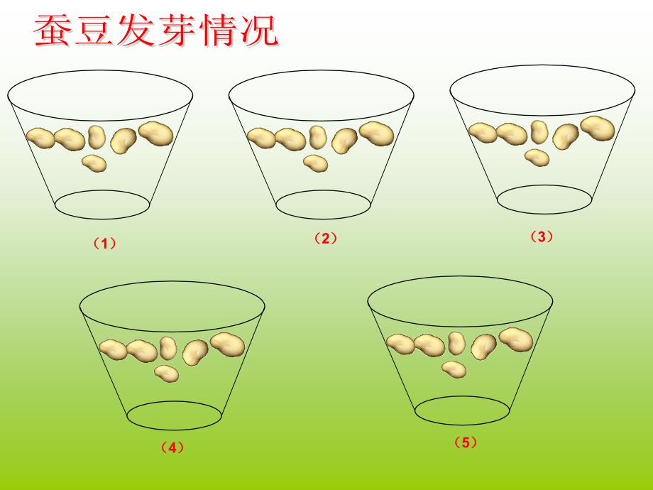 学习6的组成PPT课件_第1页