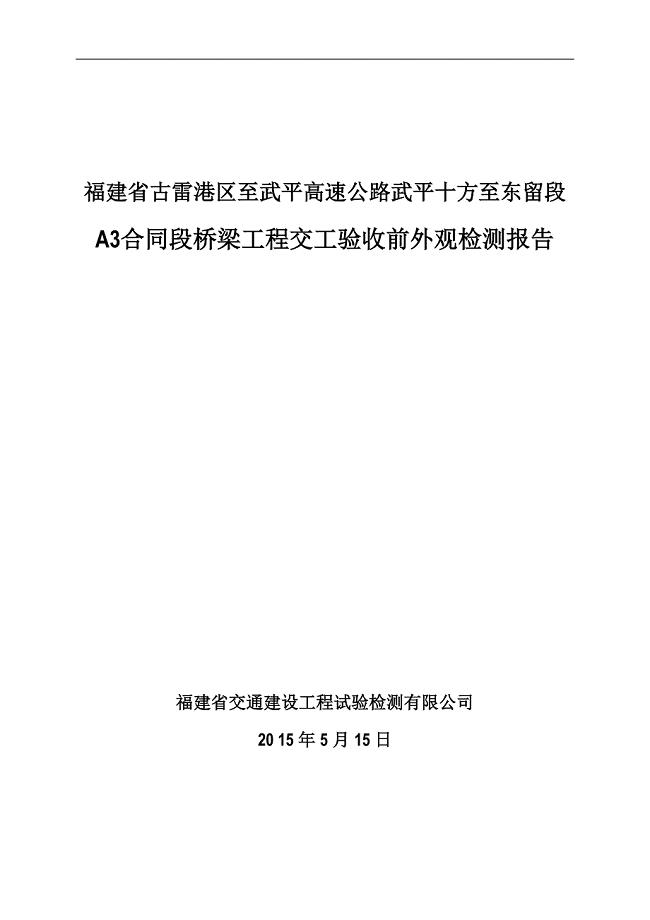 桥梁工程交工验收前外观检测报告.doc