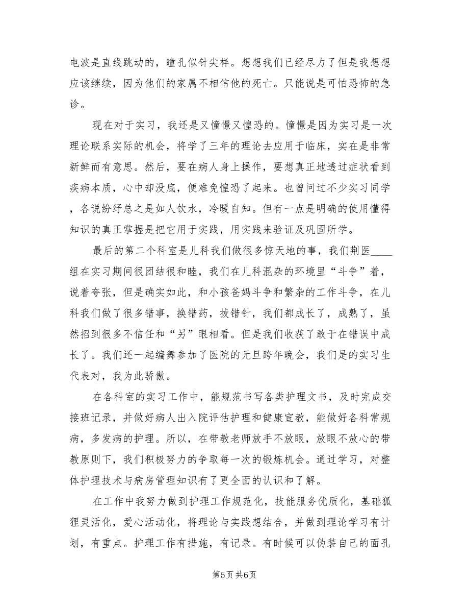 医院实习护士个人考核工作总结（3篇）.doc_第5页