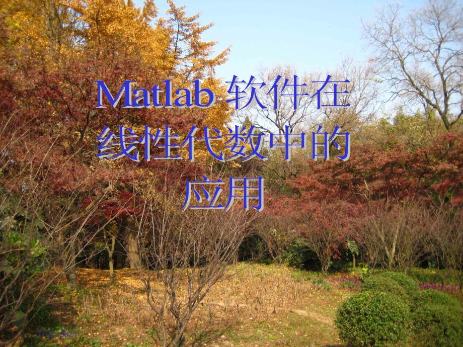 Matlab在线性代数中的应用_第1页