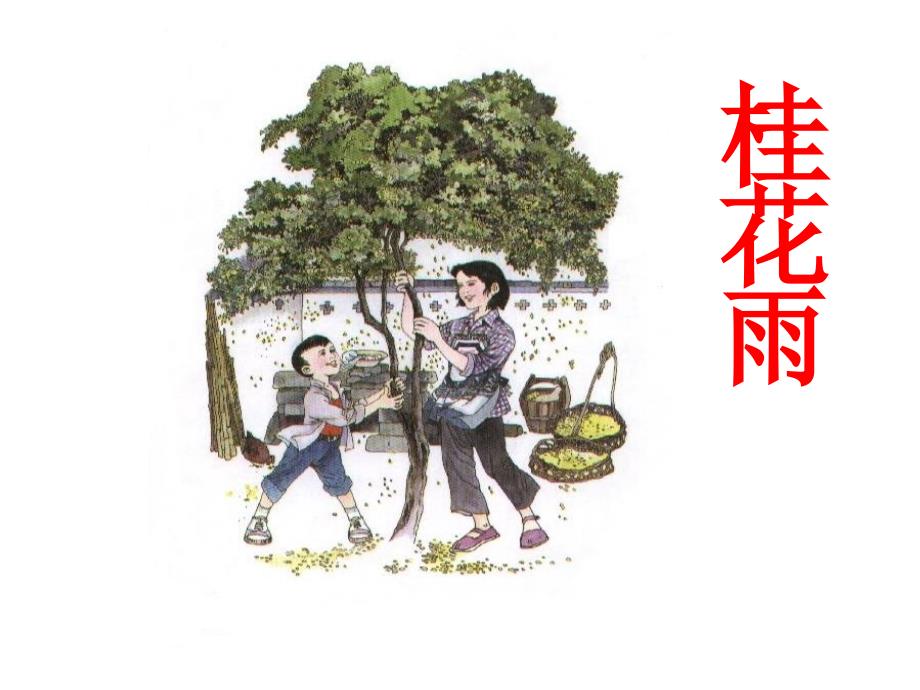 《桂花雨》 (2)_第1页