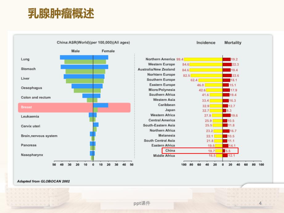 乳腺肿瘤基础知识--ppt课件_第4页