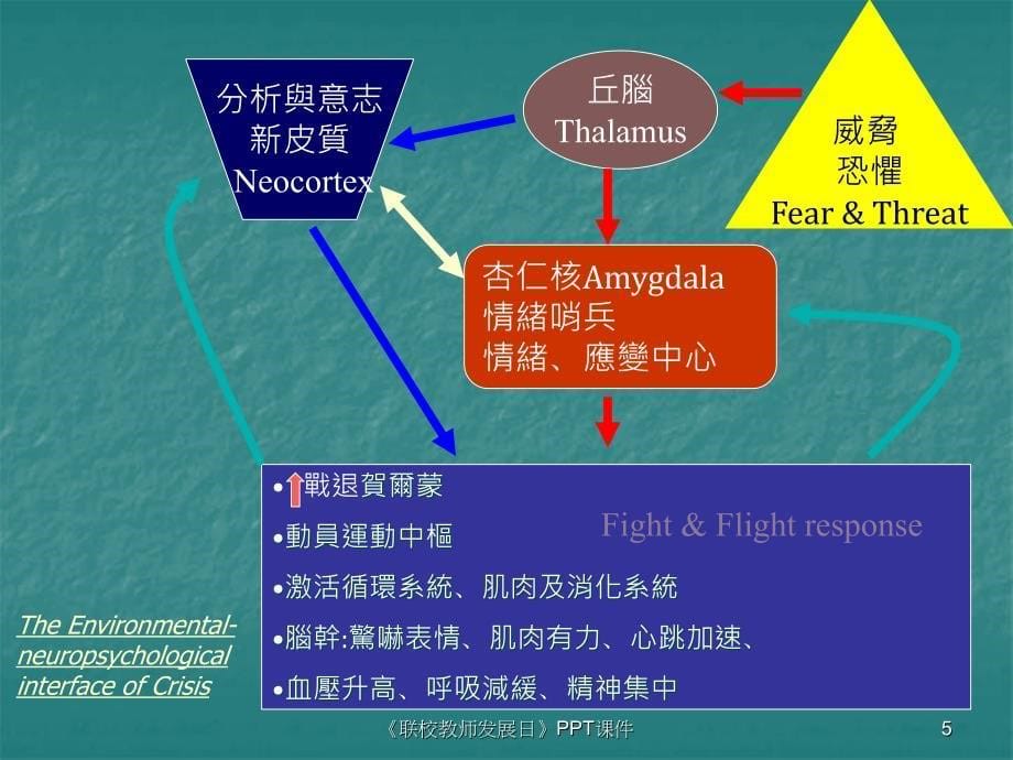 联校教师发展日课件_第5页