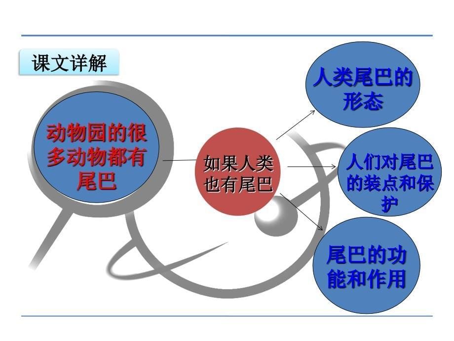 六年级下册语文课件12.如果人类也有尾巴鄂教版共18张PPT_第5页