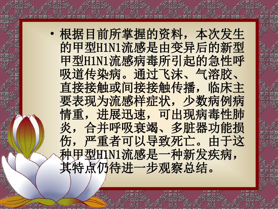 甲型h1n1流感诊疗方案试行版第一版_第4页