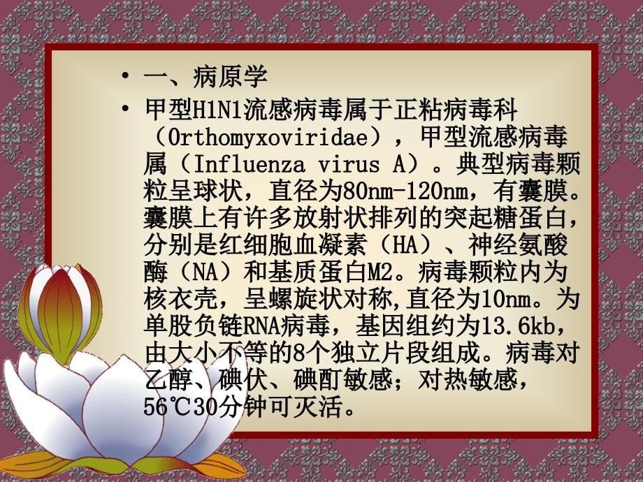 甲型h1n1流感诊疗方案试行版第一版_第5页