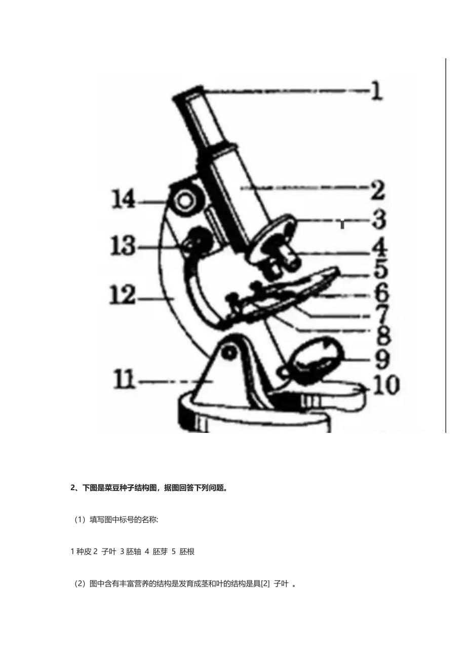 生物丨初中生物常考的识图填空题.docx_第2页