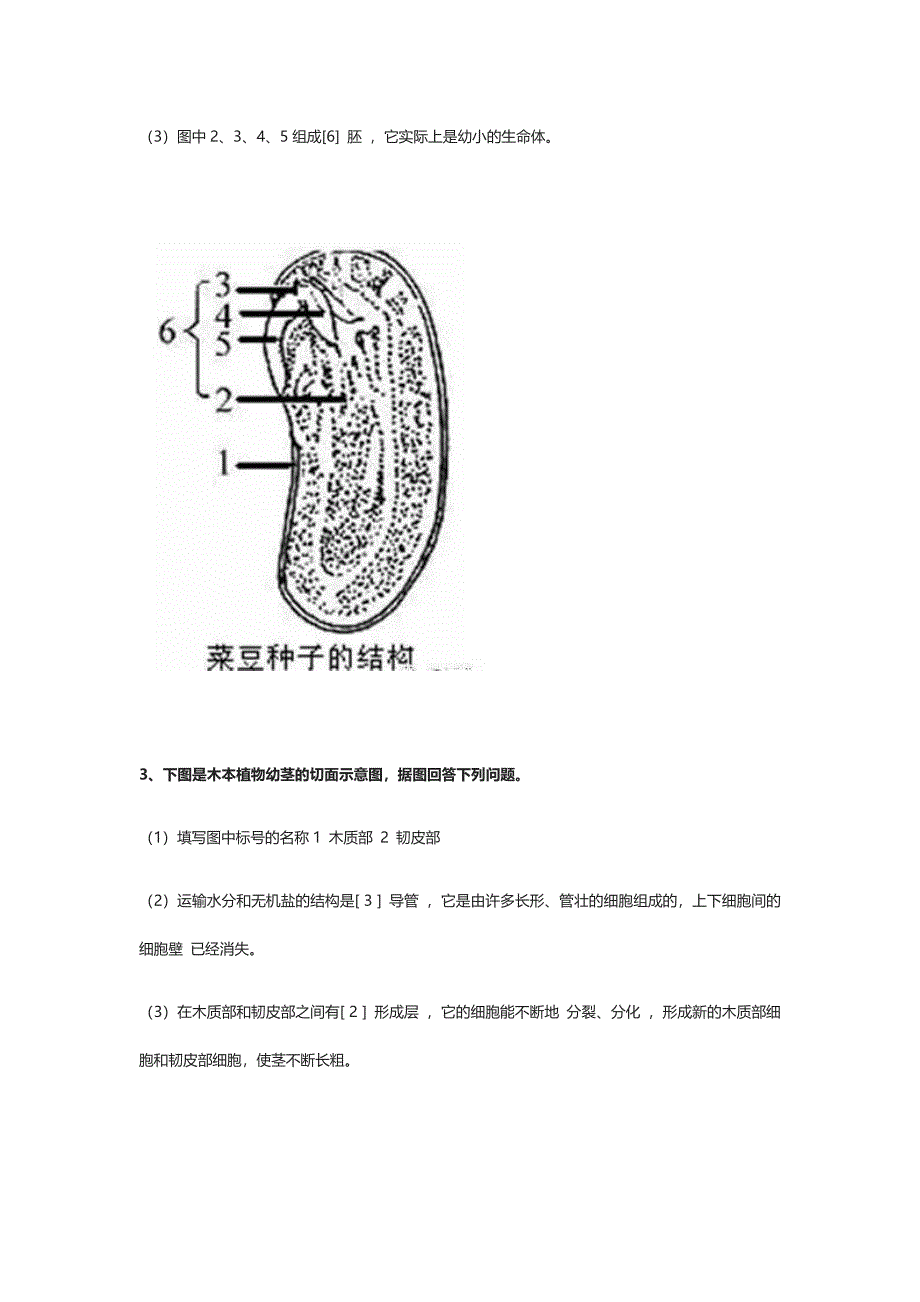 生物丨初中生物常考的识图填空题.docx_第3页