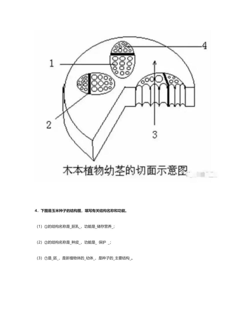 生物丨初中生物常考的识图填空题.docx_第4页