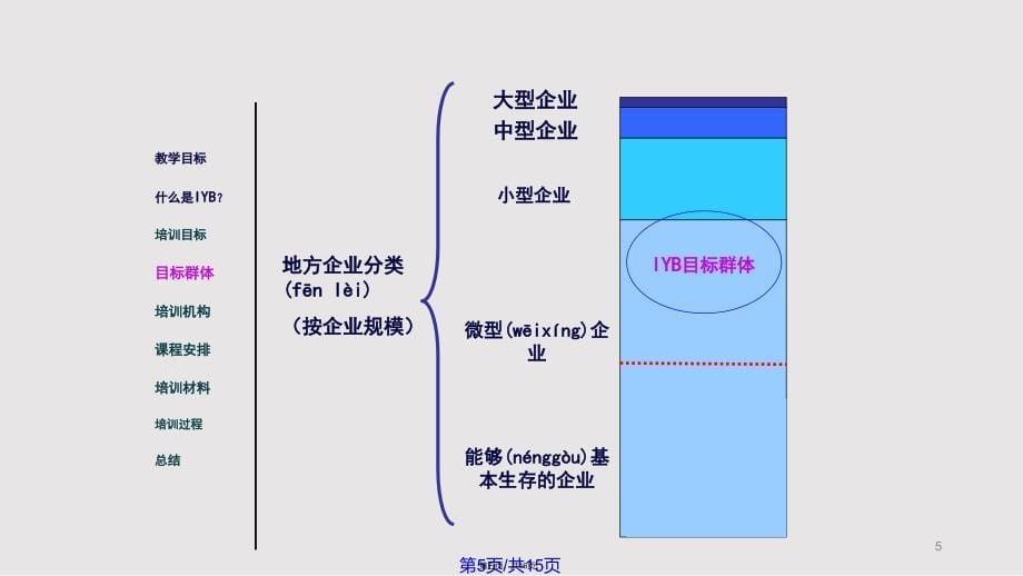 IYB培训课程介绍实用教案_第5页