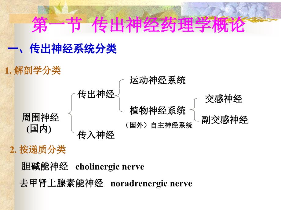 第三章外周神经系统药物药理_第3页