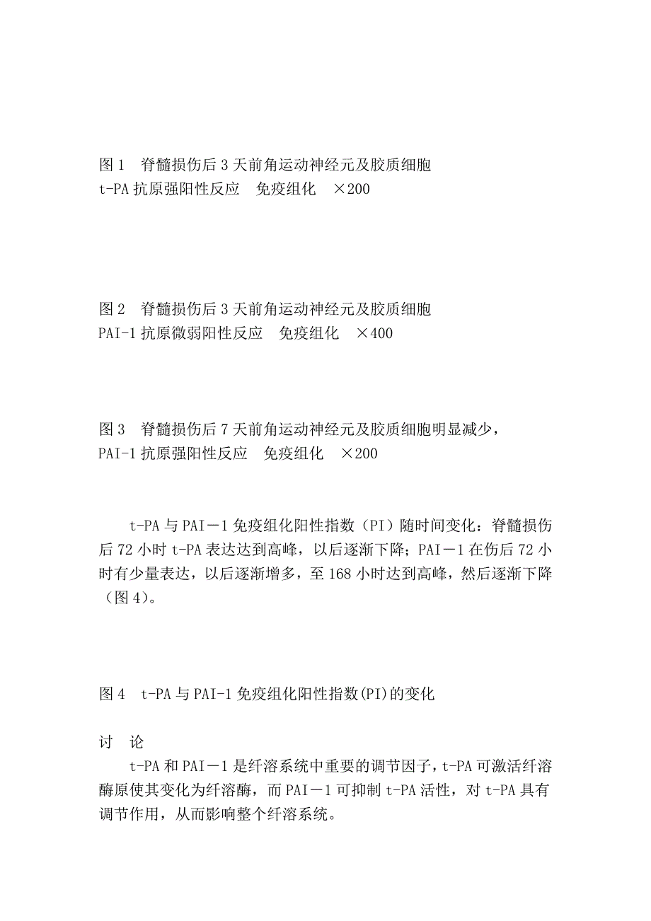 纤溶酶原激活剂及其抑制因子1在大鼠脊髓急性损伤时的表达.doc_第4页