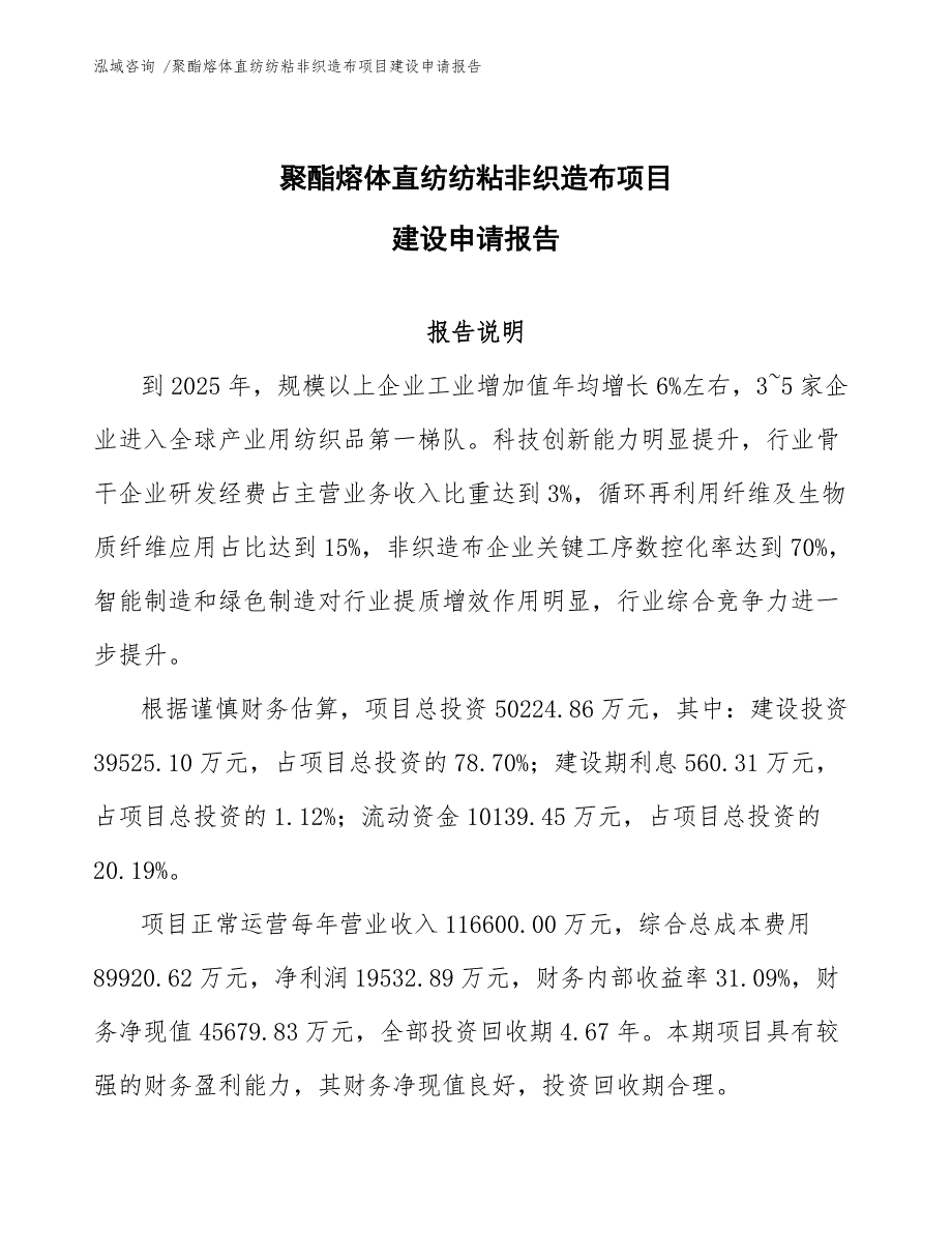 聚酯熔体直纺纺粘非织造布项目建设申请报告-参考范文_第1页