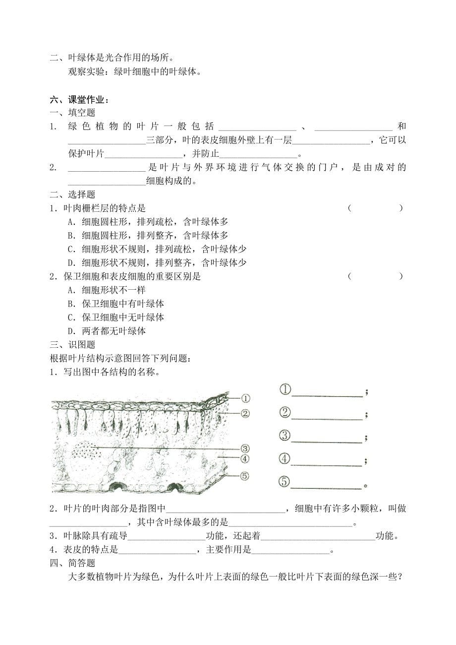 第二节植物光合作用的场所教案精品教育_第5页