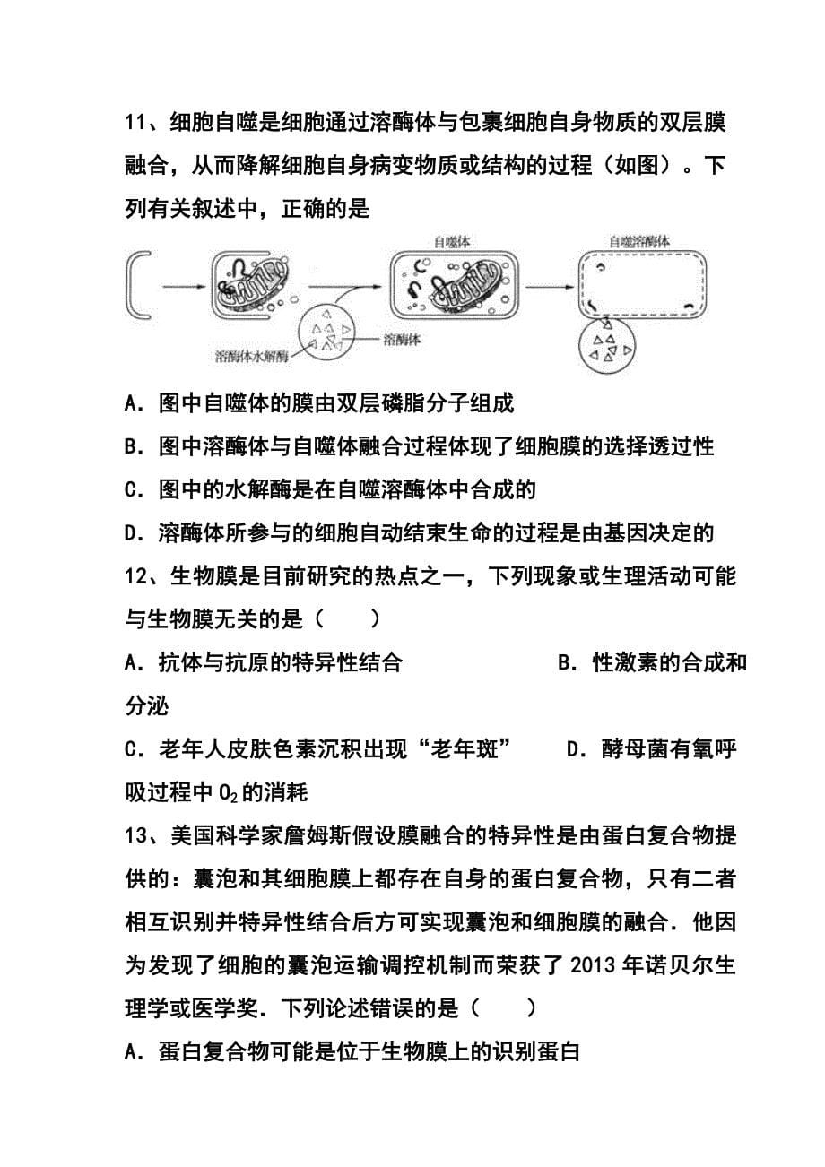 993242529湖南省浏阳一中高三上学期第一次月考生物试题及答案_第5页