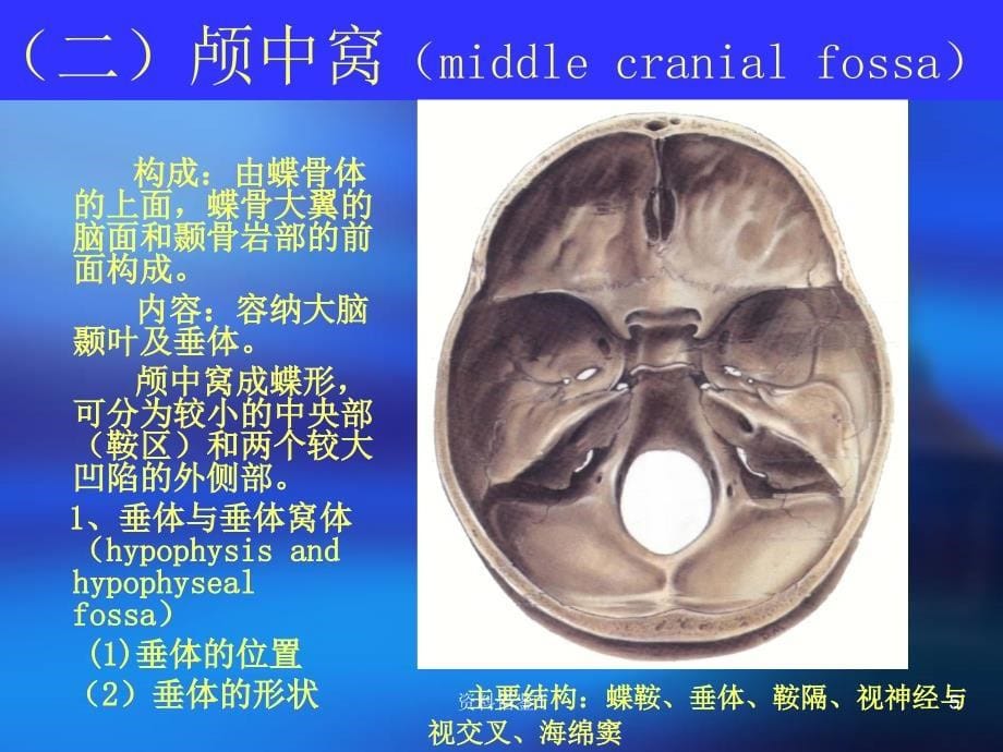 多颅神经损害（行业荟萃）_第5页