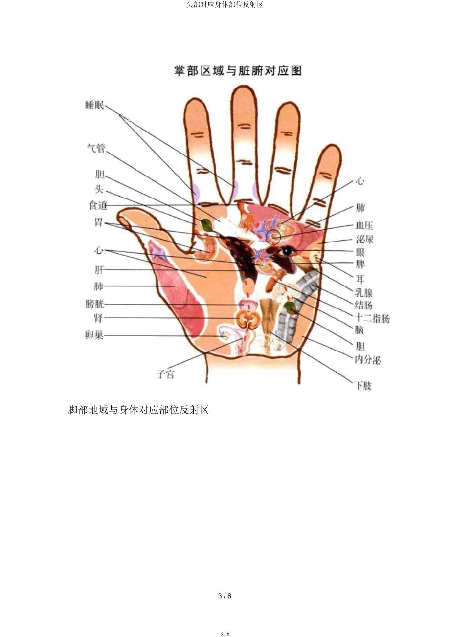 头部对应身体部位反射区.docx_第3页