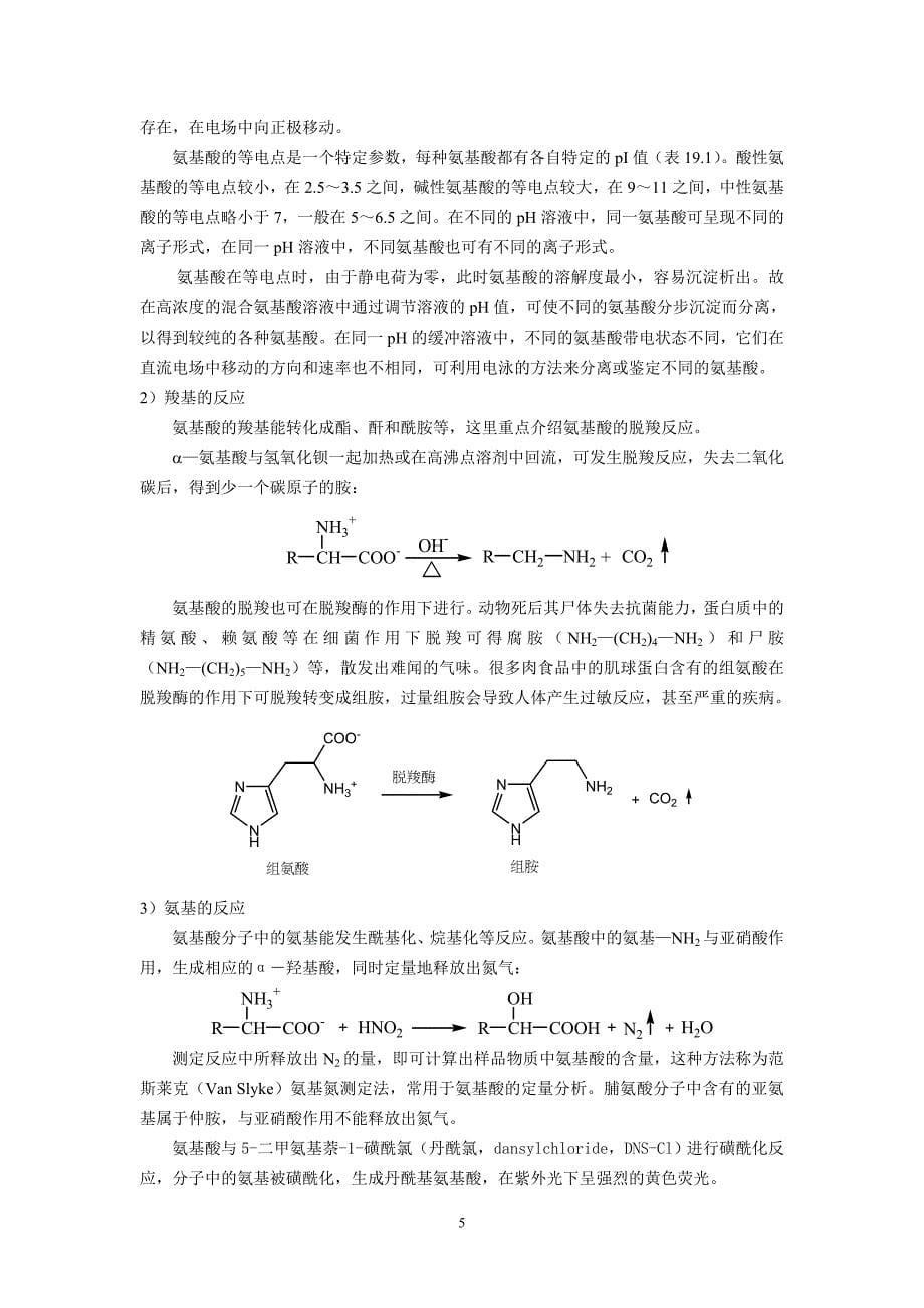 第十九章含氮天然化合物_第5页