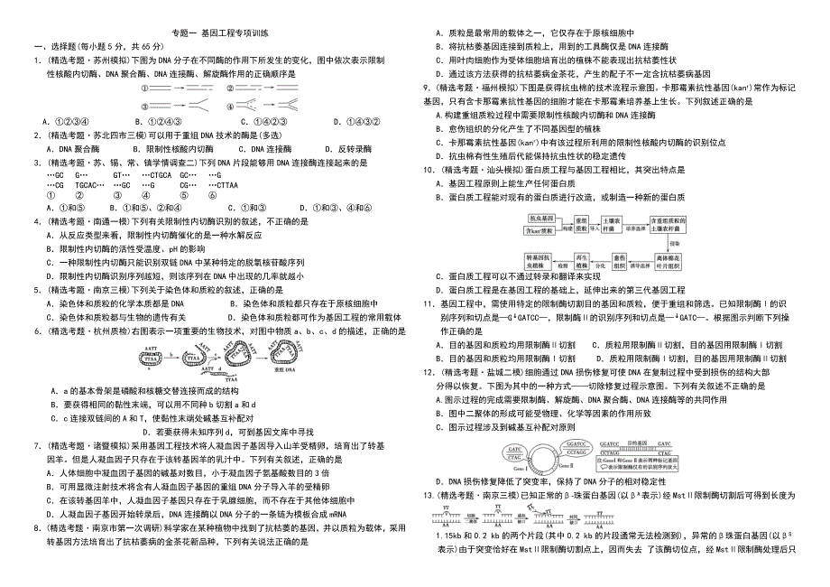 专题1专项小题(教育精品)_第1页