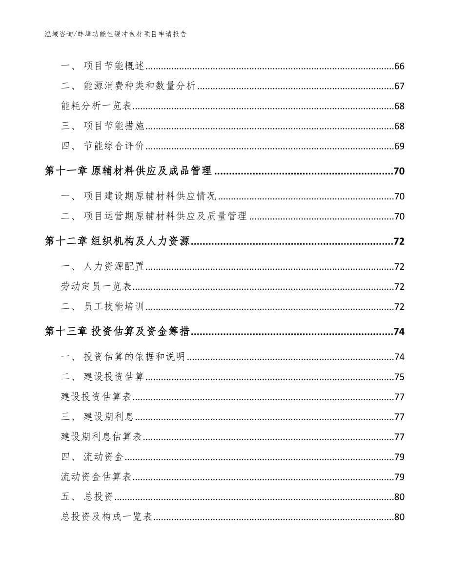 蚌埠功能性缓冲包材项目申请报告（参考范文）_第5页