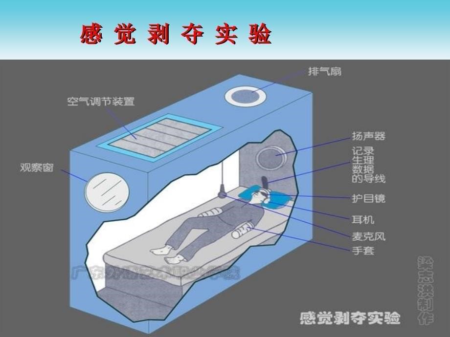 幼儿心理学第三章感知觉_第5页