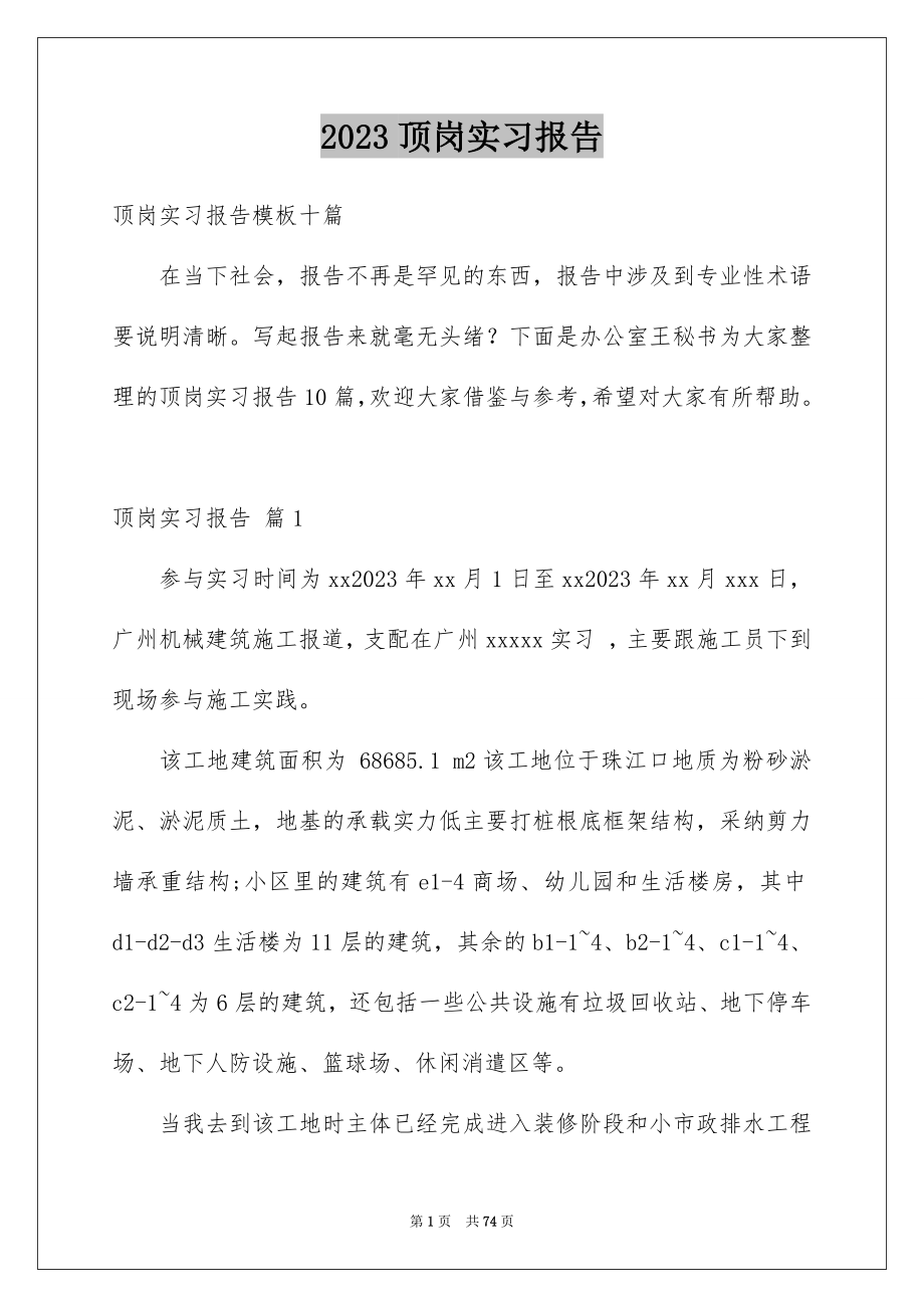 2023年顶岗实习报告41范文.docx_第1页