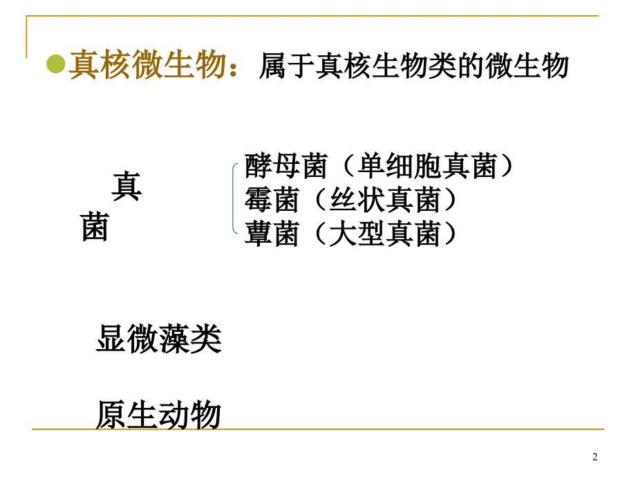 抗真菌抗病毒药PPT课件_第2页