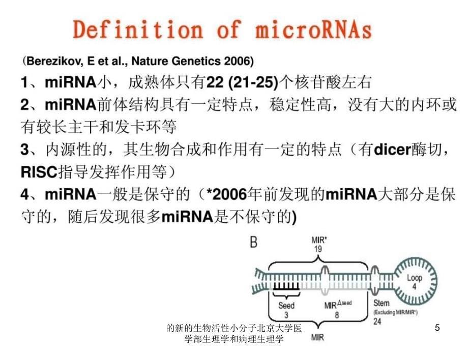 的新的生物活性小分子北京大学医学部生理学和病理生理学课件_第5页