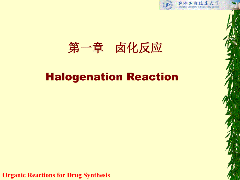 第一章卤化反应HalogenationReaction名师编辑PPT课件_第1页