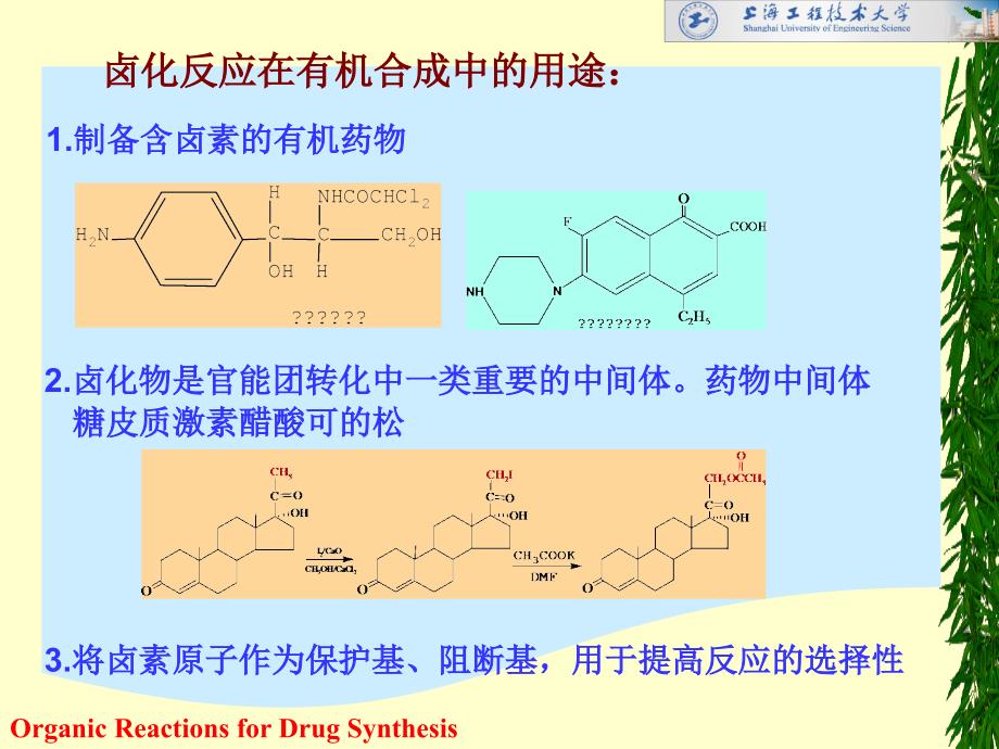 第一章卤化反应HalogenationReaction名师编辑PPT课件_第3页