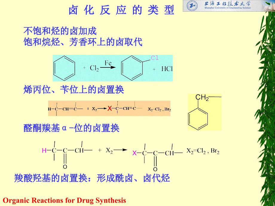 第一章卤化反应HalogenationReaction名师编辑PPT课件_第4页