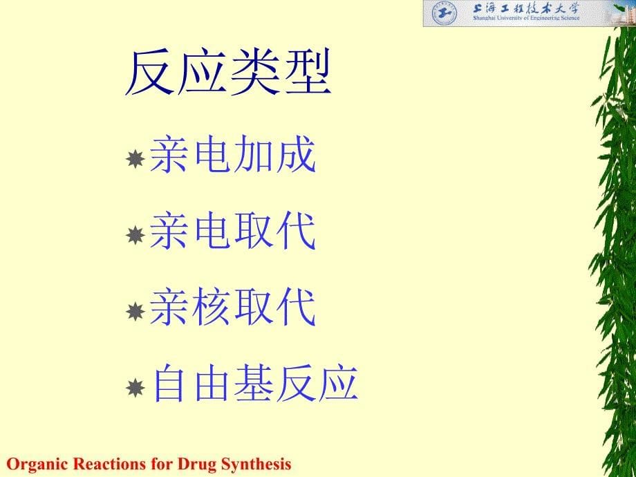 第一章卤化反应HalogenationReaction名师编辑PPT课件_第5页