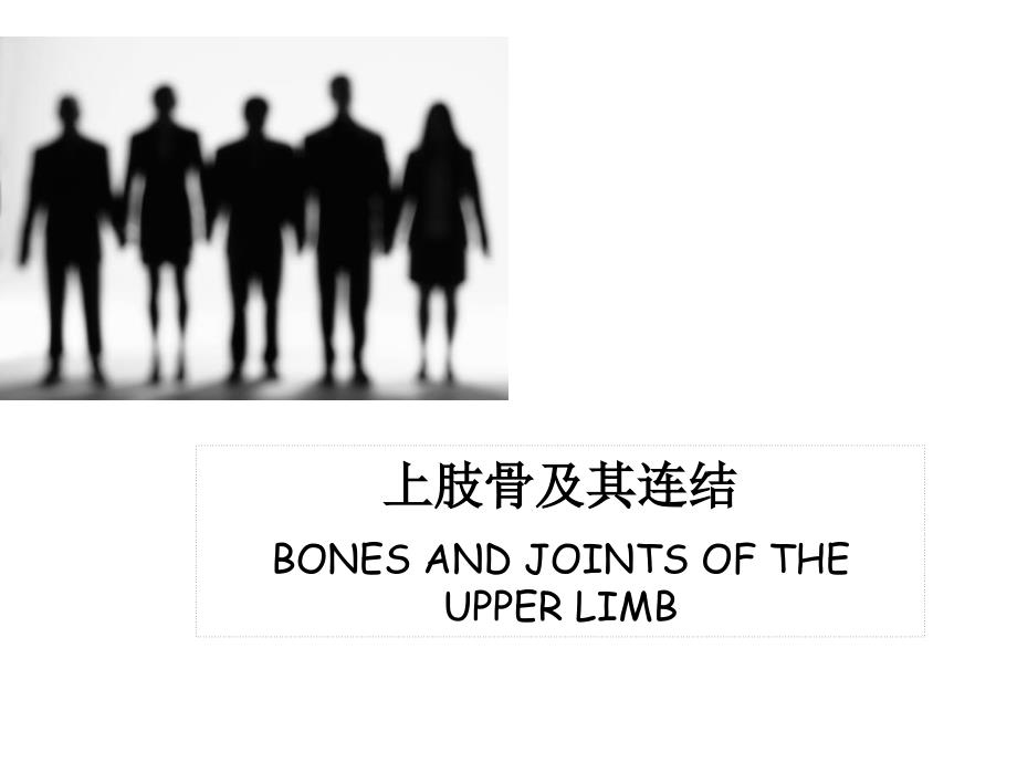 人体解剖学：四肢关节_第1页