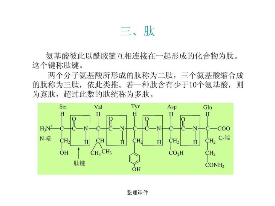 下考研必备食品生物化学_第1页