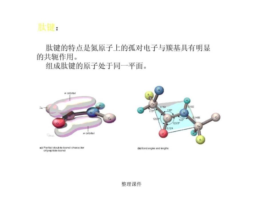 下考研必备食品生物化学_第2页