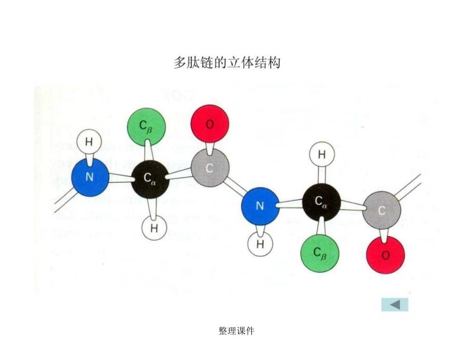 下考研必备食品生物化学_第3页