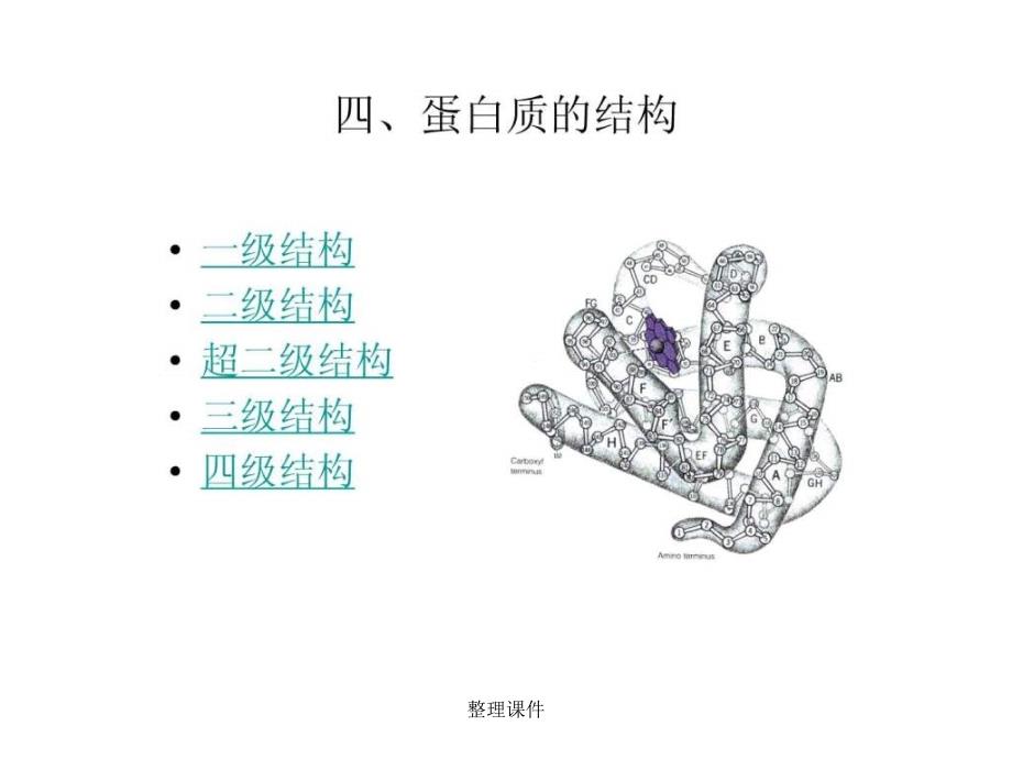 下考研必备食品生物化学_第4页