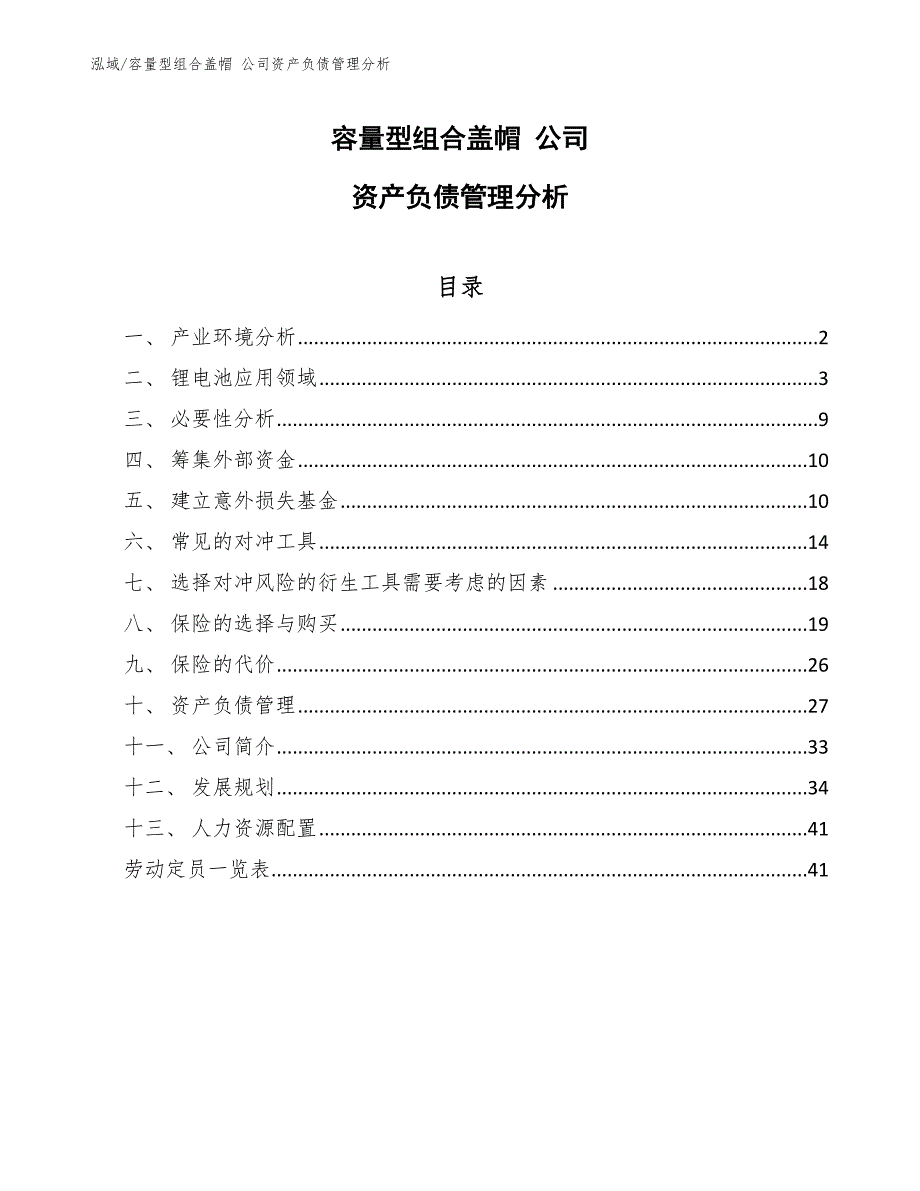 容量型组合盖帽 公司资产负债管理分析【参考】_第1页