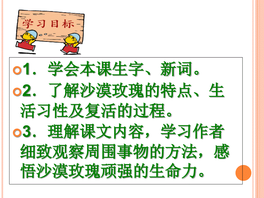 小学六年级语文沙漠玫瑰课件_第3页