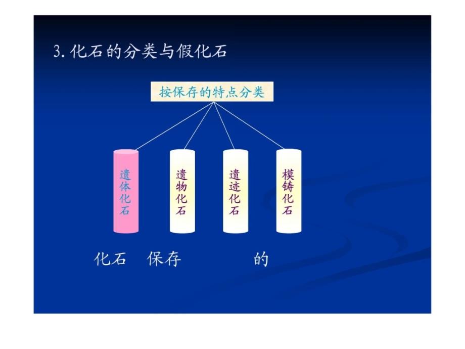 5化石与地质年代1_第4页