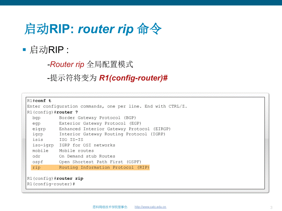 RIP配置及排错大全_第3页