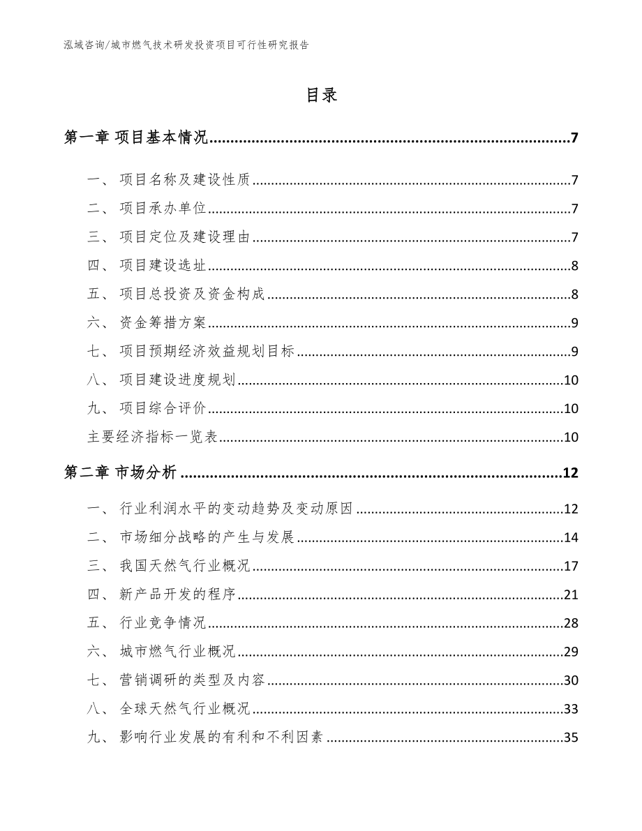 城市燃气技术研发投资项目可行性研究报告_第2页