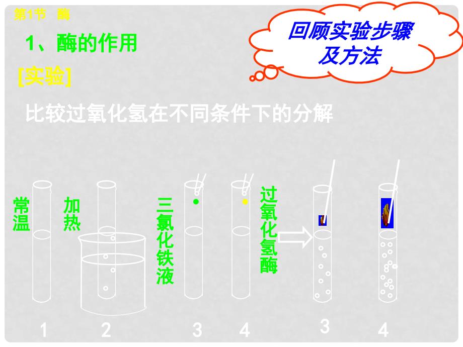 高中生物一轮复习《分子与细胞》酶、ATP、细胞呼吸课件 新人教版必修1_第2页