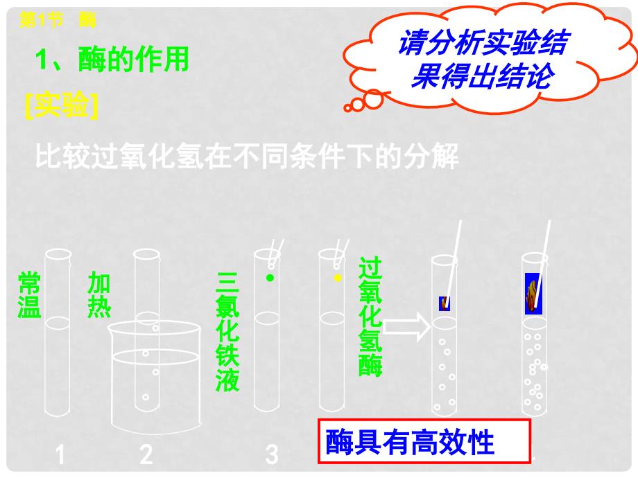 高中生物一轮复习《分子与细胞》酶、ATP、细胞呼吸课件 新人教版必修1_第4页