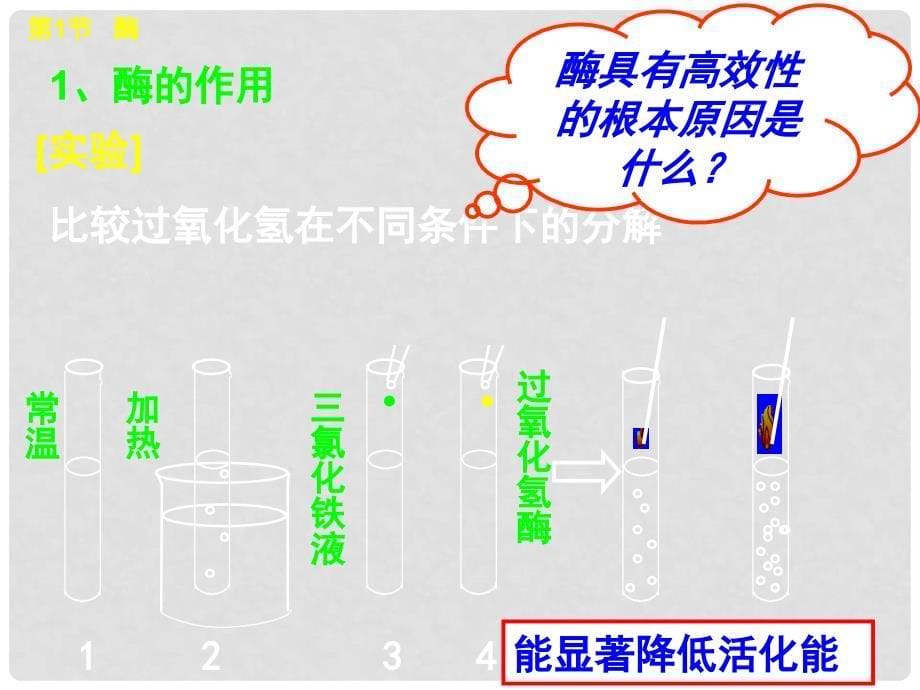 高中生物一轮复习《分子与细胞》酶、ATP、细胞呼吸课件 新人教版必修1_第5页