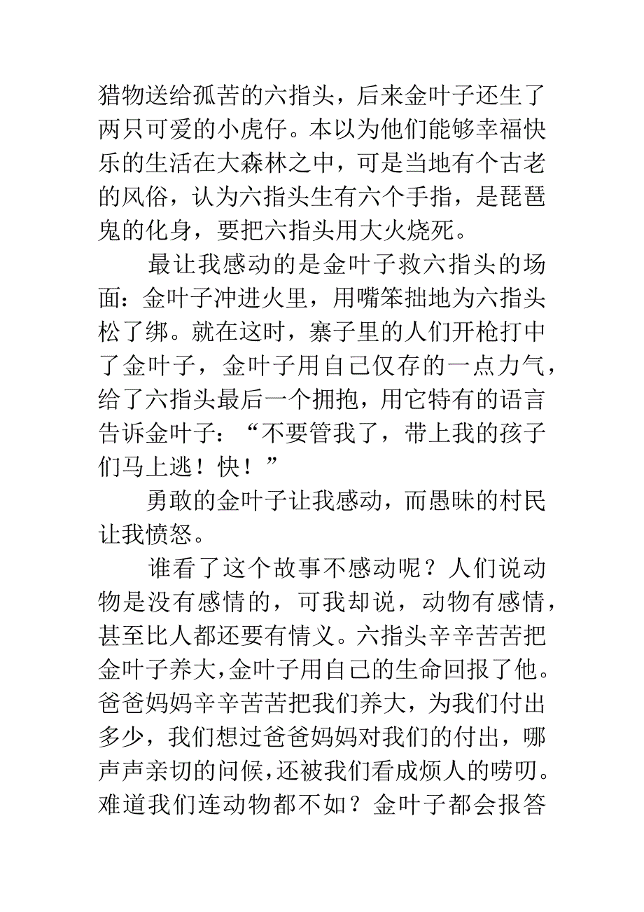 虎娃金叶子读后感.docx_第2页