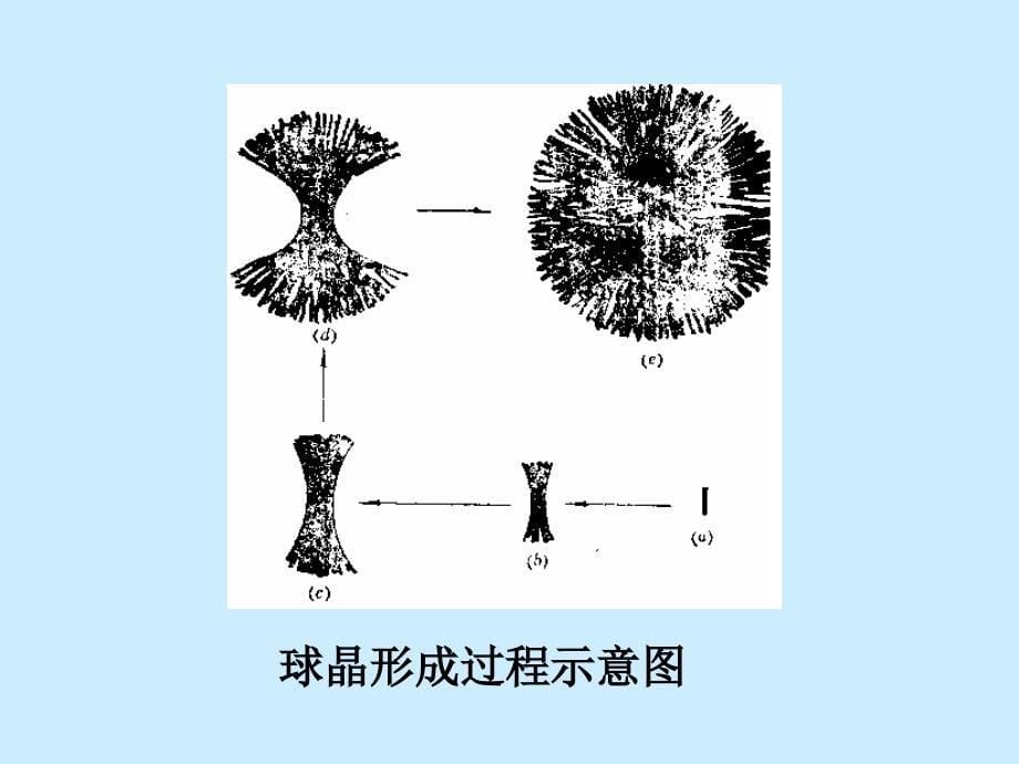 高分子物理实验_第5页